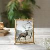 Golden Elegant Metal Twig Designer Rectangular Photo Frame, Perfect For Cherished Memories For Home Decor, Tabletop, Wall Mount Decor, Best Gift For Decor, Birthday, Anniversary