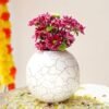 Metal Ball Vase for Home Decor|Round Flower Pot for Bedroom Living Room Office Wedding|Flowers Arrangement for Birthday Anniversary Festival|Off-White Crackled Medium (Flower Not Included)